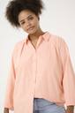 10583092_141228_350.webp