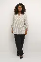10582215_105466_400.webp